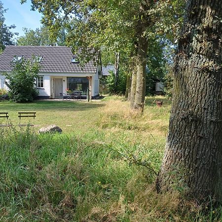 B&B Het Mooie Uitzicht Reuver Ngoại thất bức ảnh
