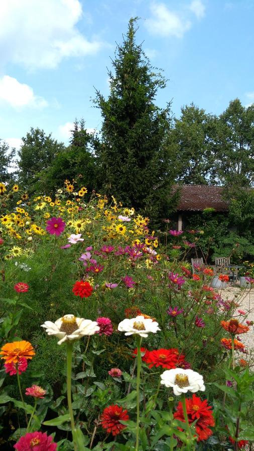 B&B Het Mooie Uitzicht Reuver Ngoại thất bức ảnh