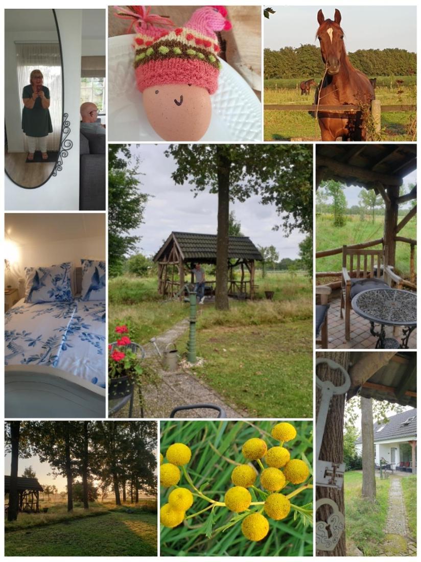 B&B Het Mooie Uitzicht Reuver Ngoại thất bức ảnh